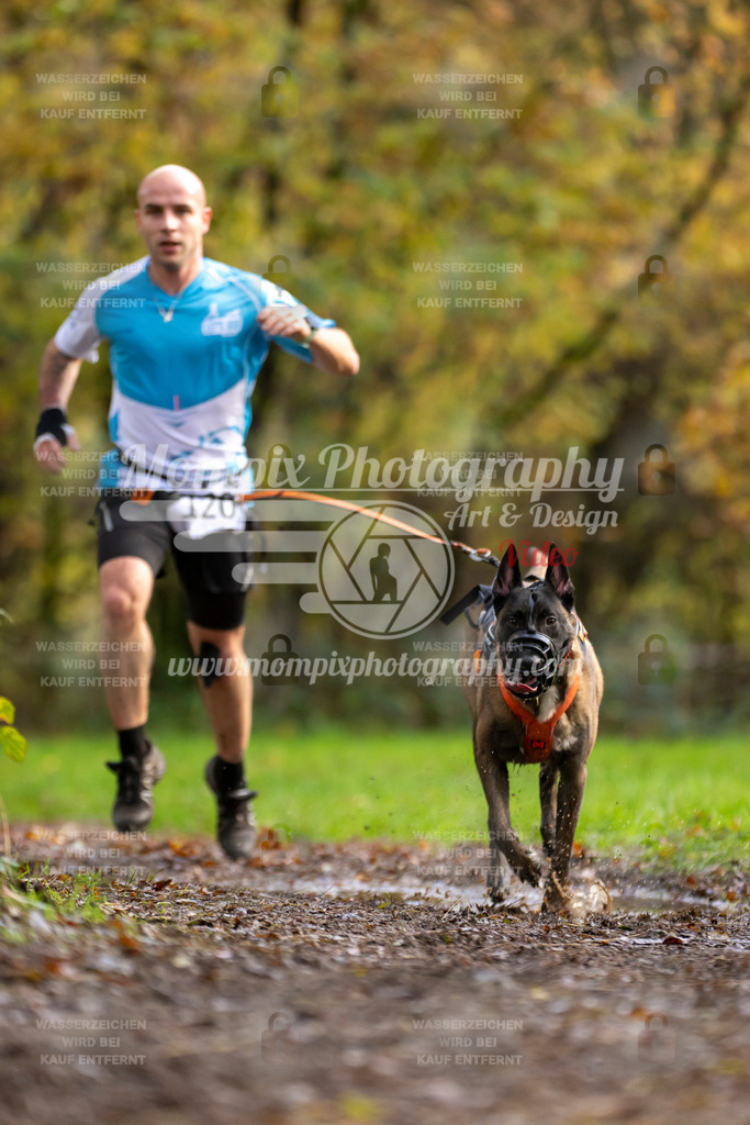 MompixPhotography_Bischwiller23_Canicross-103 | PayLife