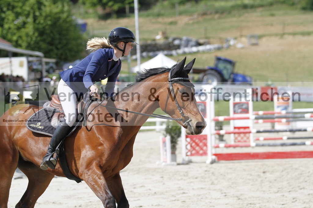 _MG_0421 | equestrian-live-com