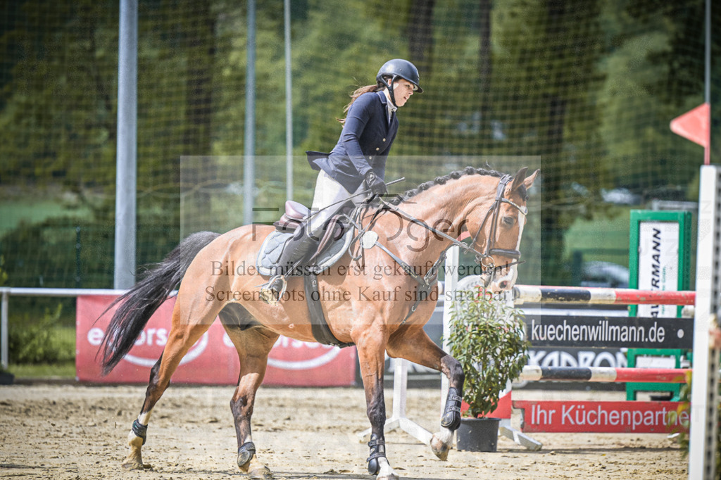 DOS_8473 | Entdecke hochwertige Reitturnierfotos von Foto Oger. Professionell, emotional und authentisch – jetzt Lieblingsmomente im Shop bestellen.Deutschlandweite Turnierfotografie. - Realisiert mit Pictrs.com