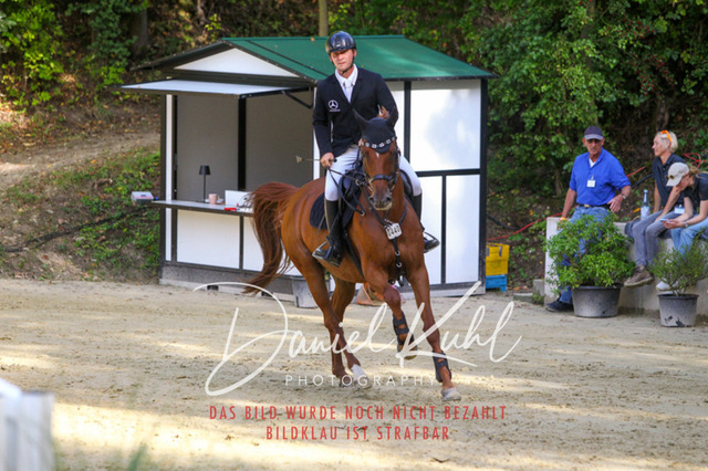 DKP42460 | Turniersportfotografie; Pferdefotografie; Dressurfotografie