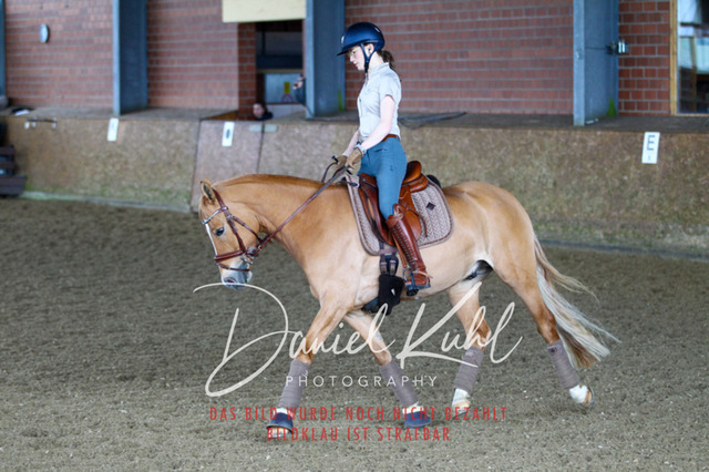 DKP42912 | Turniersportfotografie; Pferdefotografie; Dressurfotografie