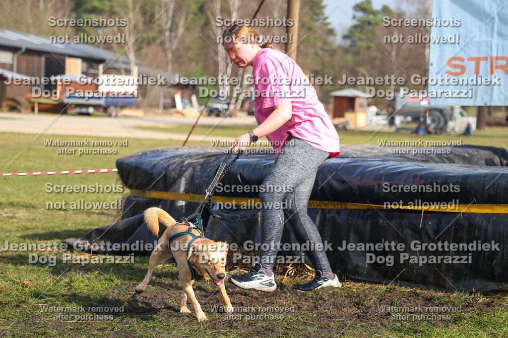 Dog Paparazzi - Strongdog North Mrz26-2369 | Dog Paparazzi Jeanette Grottendiek Fotografie & Videografie - Realisiert mit Pictrs.com
