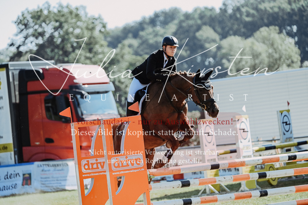 DSC_5457 | Pferde- und Turnierfotografie in Westsachsen. Pferdeportraits, Auftragszeichnungen und intuitive Kunst.