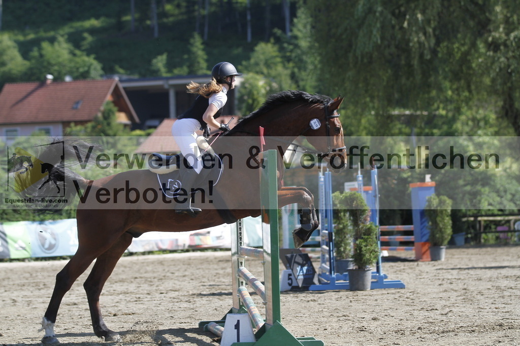 _MG_8329 | equestrian-live-com