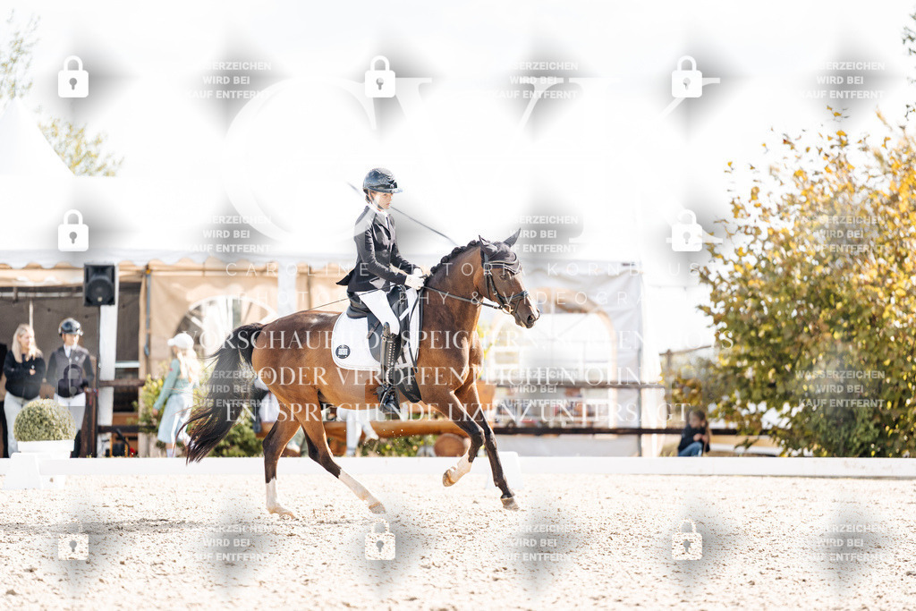 CK901670 | Turnierfotografie Pferdefotografie Trier Rheinland-Pfalz Pferdesport Reitsport Tierfotografie Sportfotografie Pferdevideo Pferdevideografie Equestrianvideography equestrianphotography  - Realisiert mit Pictrs.com