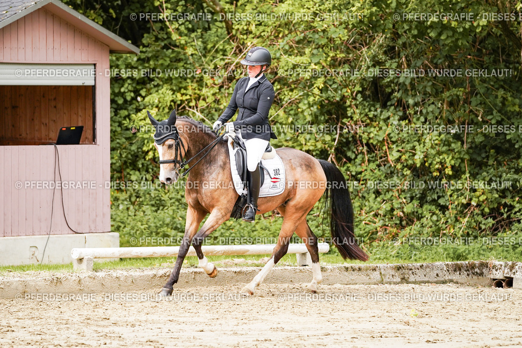 DSC02752 | Pferdegrafie