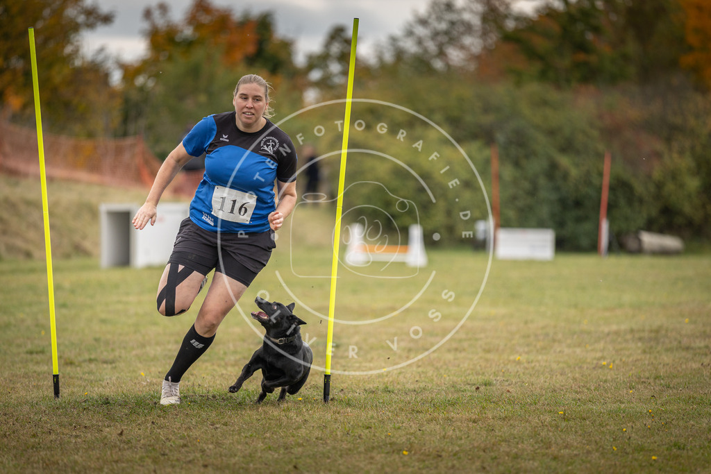 Pfotenfotografie_DV3A7683 | Hundefotografie, Tierfotograf, Pfotenfotografie, Fotoshooting Hund, Hunde Portrait, Hundesport, Hundeportraits, Heideshooting, Hunde, Sportfotograf, Hundefotograf, Turnierhundsport, THS,  - Realisiert mit Pictrs.com