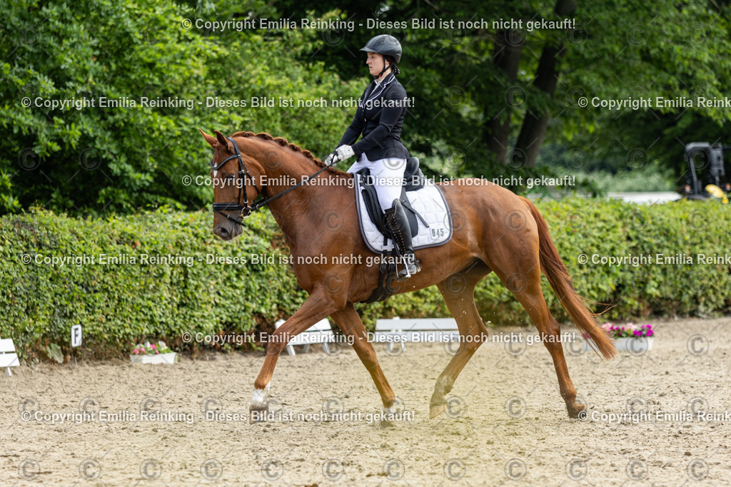 CL5A5042 | Emilia Reinking Fotografie - Realisiert mit Pictrs.com