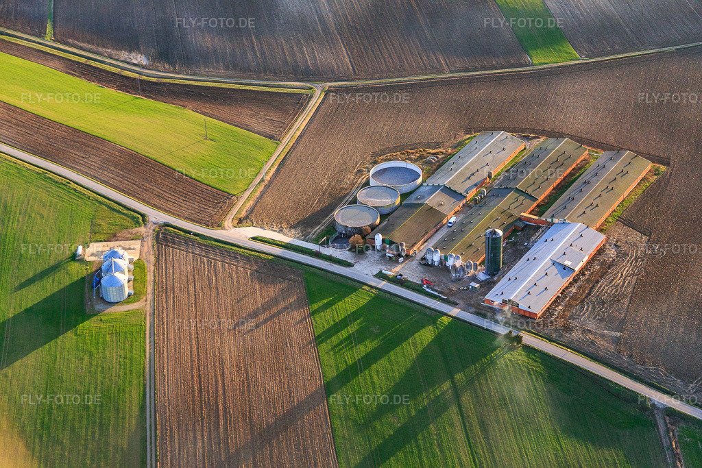 Luftbild: Hallen zur Schweinezucht mit Biogasanlage in Wintzenbach im Bundesland Bas-Rhin in Frankreich. – Foto: IMG_086025.jpg vom 06.02.2016 durch Werner Riehm/FLY-FOTO.de – Auflösung des Originals: 5472 x 3648 px