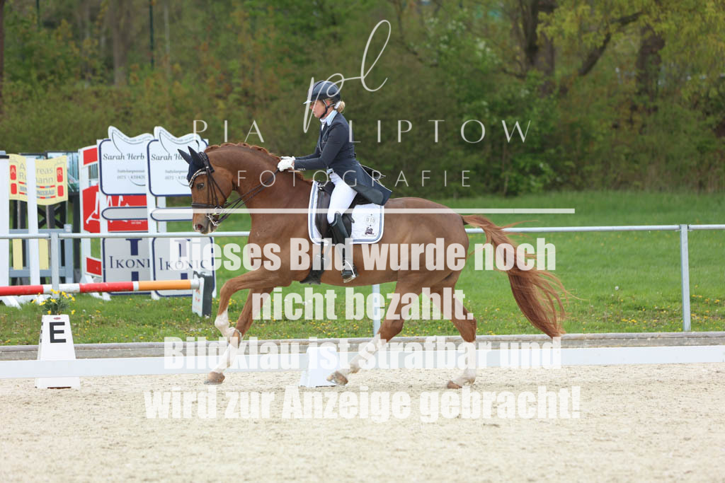 IMGM8124 | pl-fotografie