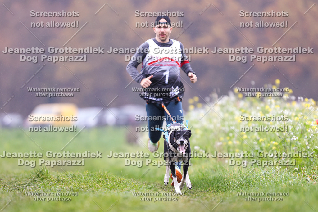 Dog Paparazzi - Visbeck 25 -784 | Dog Paparazzi Jeanette Grottendiek Fotografie & Videografie - Realisiert mit Pictrs.com