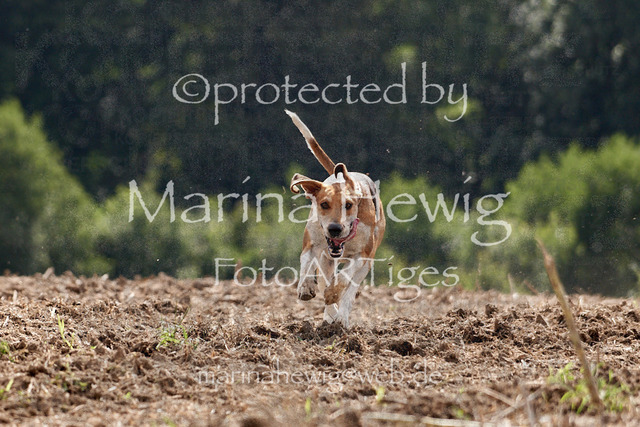 _MCH8011_Marina Hewig | Fotografie, FotoArt, PferdesportArt, Pferdesportfotografie, Landschaftsfotografie, Reisefotografie, Reise, Pferde - Realisiert mit Pictrs.com