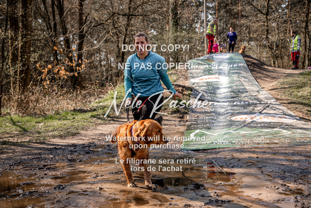 nelerasche_Hulsbeek_So1230-1300_184 | nelerasche