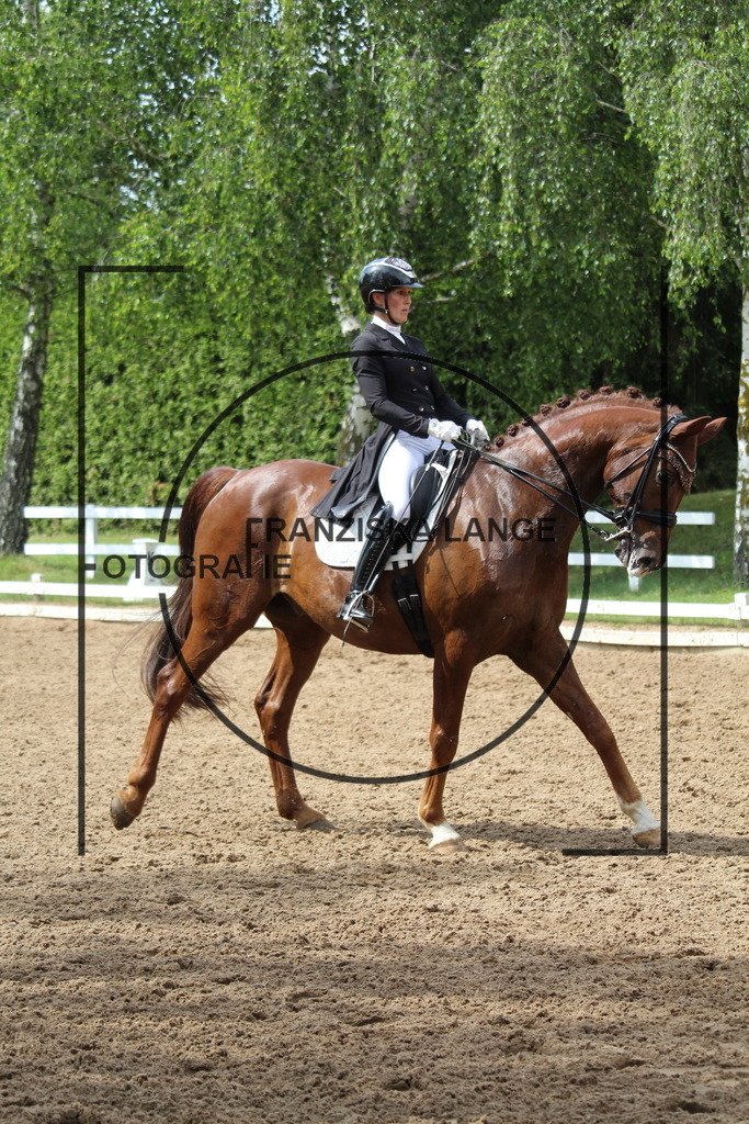 IMG_9096 | franziskalange - Realisiert mit Pictrs.com