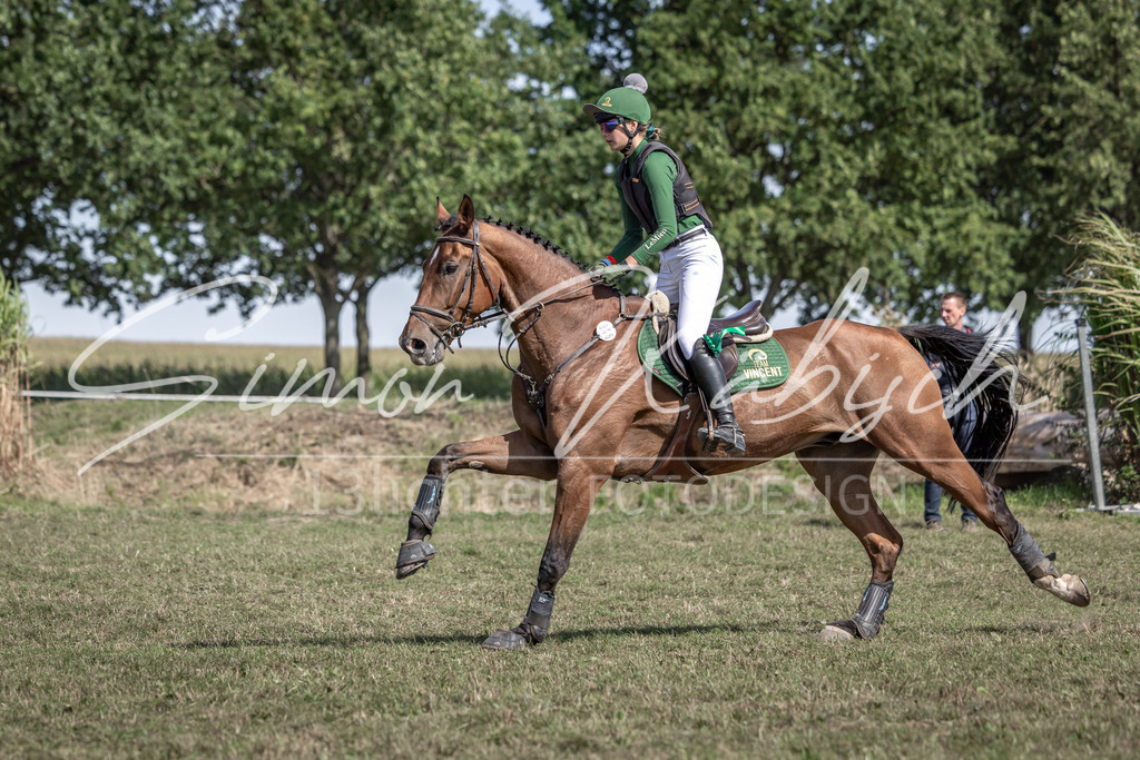 20250907-_3LI0398 | Tierfotografie Pferde, Hunde, Katzen, Haustiere.
Turnierfotografie Reitturniere, Reiten, Springreiten, Dressur in Hanau, dem Main-Kinzig-Kreis und dem Rhein-Main- Gebiet um Frankfurt