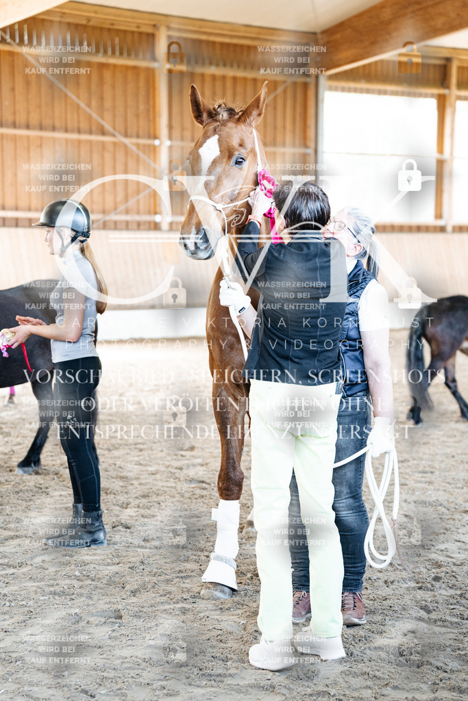 CK703191 | Turnierfotografie Pferdefotografie Trier Rheinland-Pfalz Pferdesport Reitsport Tierfotografie Sportfotografie Pferdevideo Pferdevideografie Equestrianvideography equestrianphotography  - Realisiert mit Pictrs.com