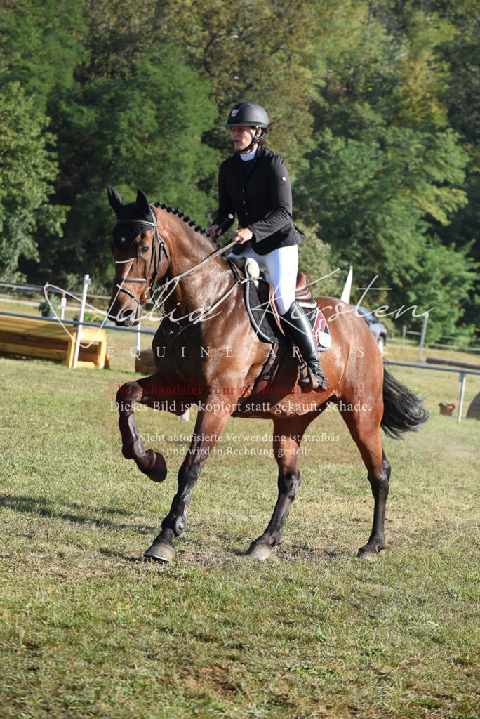 DSC_5197 | Pferde- und Turnierfotografie in Westsachsen. Pferdeportraits, Auftragszeichnungen und intuitive Kunst.