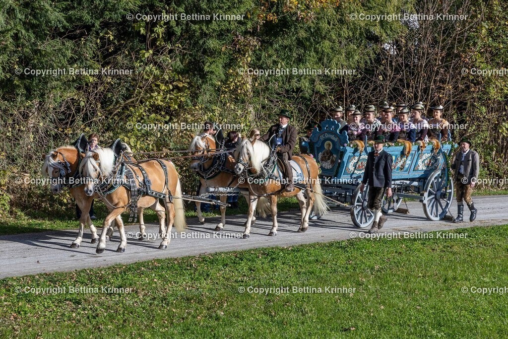 LBT24-834 | foto-bettina-krinner - Realisiert mit Pictrs.com