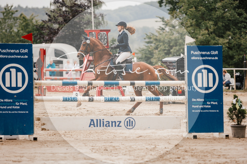 3I6A2164 | Stimmungsvolle Portraits und Reitsportfotografie im Ruhrgebiet und im Münsterland.

Pferdefotografie, Hundefotografie, Tierfotografie, Reportagen, Portraits von Tier und Mensch, Turnierfotografie in Bochum, Recklinghausen, Marl, Haltern am See, Dülmen.. - Realisiert mit Pictrs.com