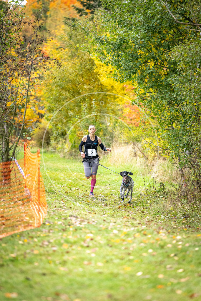 Pfotenfotografie_DV3A1741 | Hundefotografie, Tierfotograf, Pfotenfotografie, Fotoshooting Hund, Hunde Portrait, Hundesport, Hundeportraits, Heideshooting, Hunde, Sportfotograf, Hundefotograf, Turnierhundsport, THS,  - Realisiert mit Pictrs.com