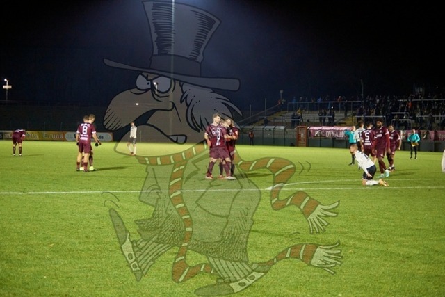 BFC Dynamo vs. ZFC Meuselwitz   046 | mythos-online-redaktion