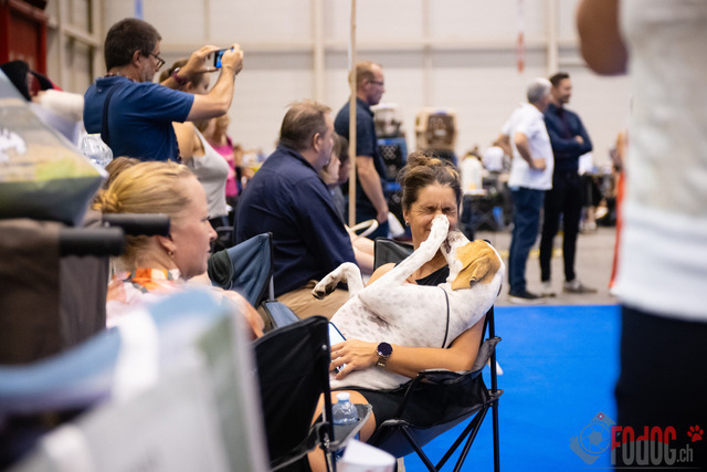 World Dog Show Donnerstag | World Dog Show 2023 Donnerstag im Palexpo in Genf 24.08.2023 Foto: Leo Wyden