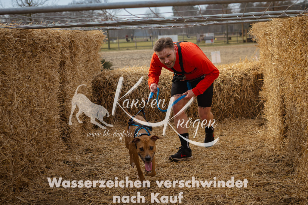 1102_ZZ91734 | kk-dogfotos