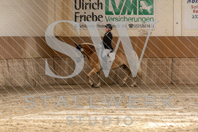 2L2A0652 | stallwerkstudio - Realisiert mit Pictrs.com