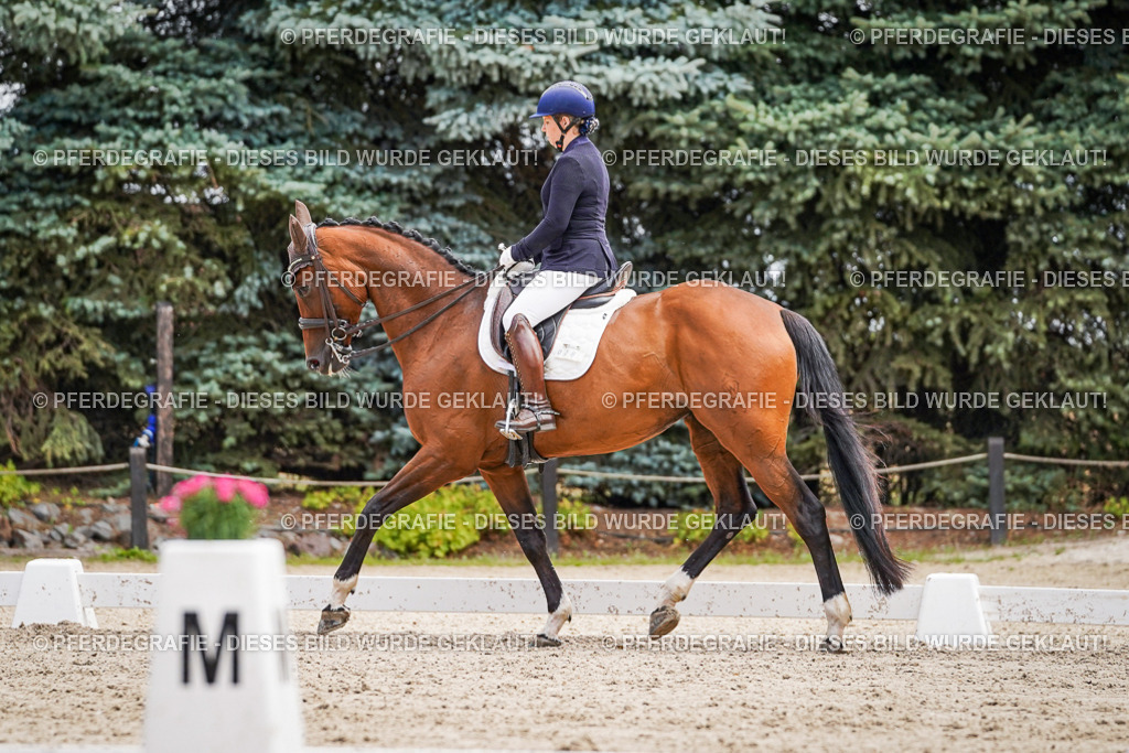 DSC03217 | Pferdegrafie