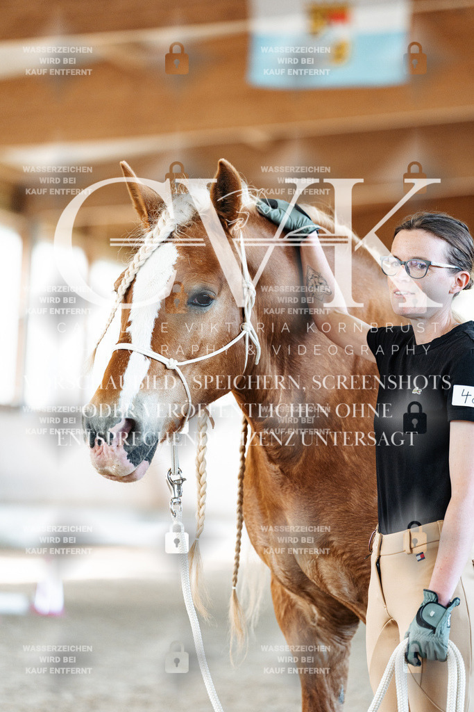 CK905962 | Turnierfotografie Pferdefotografie Trier Rheinland-Pfalz Pferdesport Reitsport Tierfotografie Sportfotografie Pferdevideo Pferdevideografie Equestrianvideography equestrianphotography  - Realisiert mit Pictrs.com