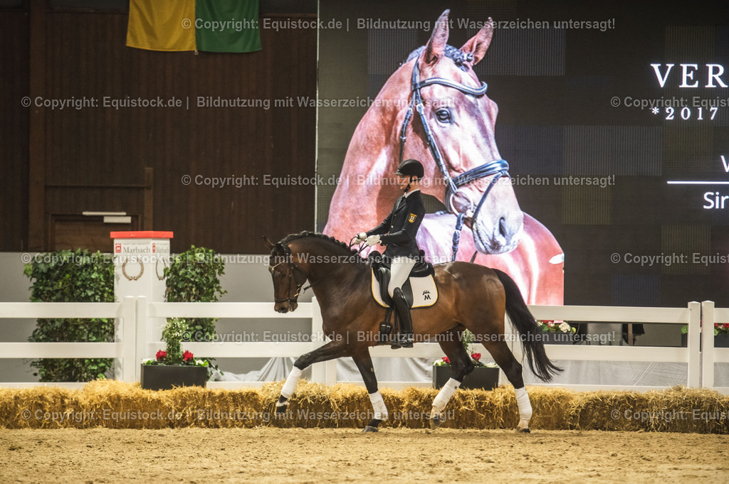20240302_Hengstvorstellung_Marbach_TOMsPiC_1204 | equistock