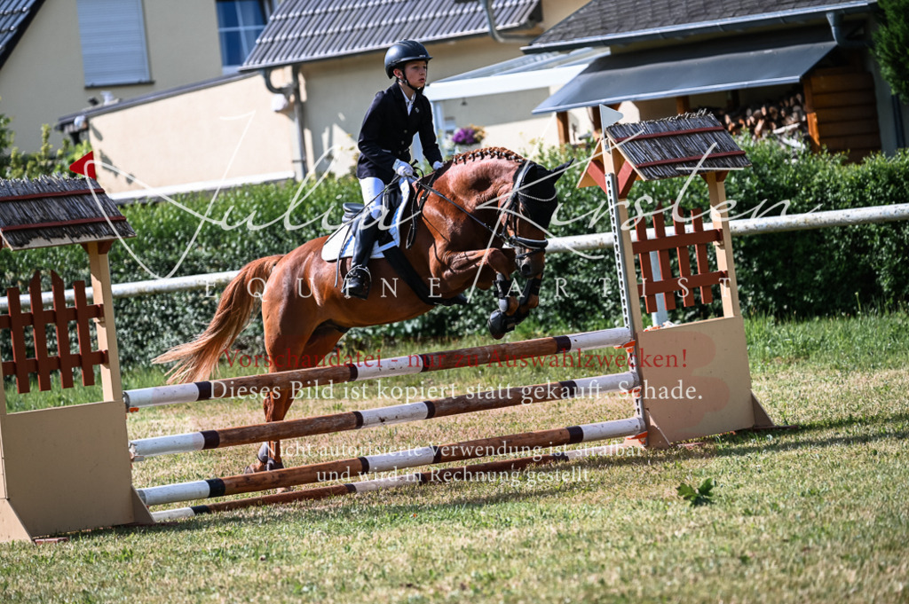 DSC_7791 | Pferde- und Turnierfotografie in Westsachsen. Pferdeportraits, Auftragszeichnungen und intuitive Kunst.