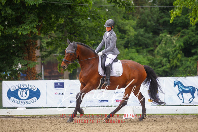 DKP41740 | Turniersportfotografie; Pferdefotografie; Dressurfotografie