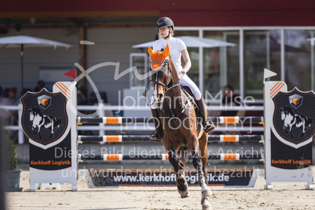 260503_Spenge_7_M2-Spr-m-steig-Anf-725 | Deine schönsten Turniermomente als professionelle Fotos! Entdecke hochwertige Pferdesport-Fotografie im Online-Shop. Jetzt Fotos finden & bestellen!