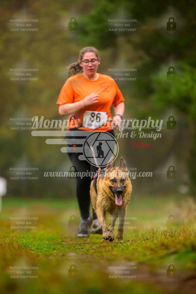 MompixPhotography_Bischwiller2025_Canicross-181 | mompixphotography