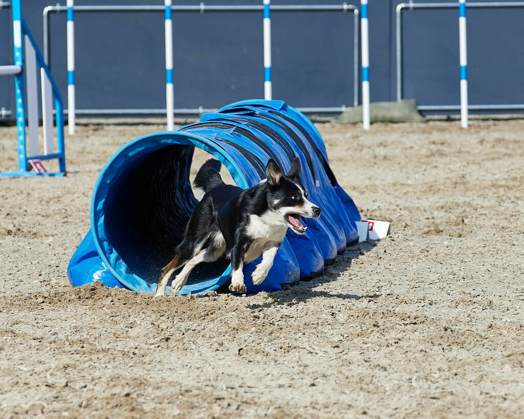 580A0085 | Peter Fridle Fotografie - Realisiert mit Pictrs.com