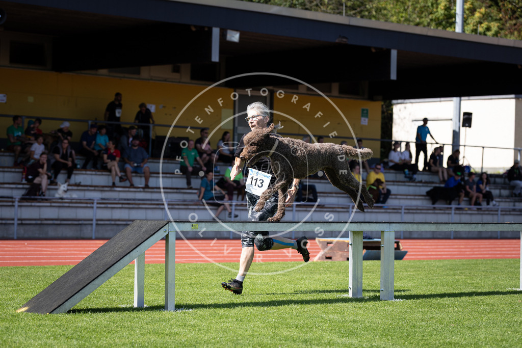 Pfotenfotografie_DV3A8338 | Hundefotografie, Tierfotograf, Pfotenfotografie, Fotoshooting Hund, Hunde Portrait, Hundesport, Hundeportraits, Heideshooting, Hunde, Sportfotograf, Hundefotograf, Turnierhundsport, THS,  - Realisiert mit Pictrs.com