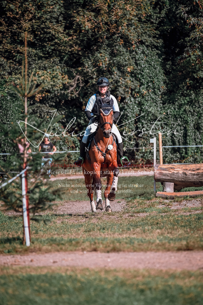 DSC_0742 | Pferde- und Turnierfotografie in Westsachsen. Pferdeportraits, Auftragszeichnungen und intuitive Kunst.