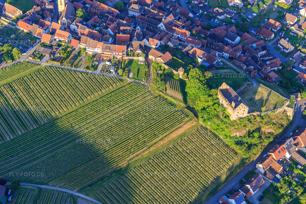 Luftbild: Ruine des Schloss Burkheim über dem Weinberg im Ortsteil Burkheim in Vogtsburg im Bundesland Baden-Württemberg in Deutschland. Foto: IMG_147898.jpg vom 30.05.2025 durch Werner Riehm/FLY-FOTO.deSCHLOSS-BURKHEIM.DE