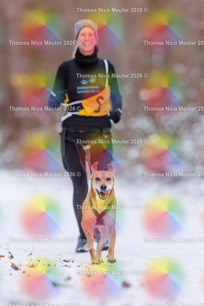 Thomas_Nico_Meuter(C)_223A8024 | Bild von Thomas Nico Meuter - Realisiert mit Pictrs.com