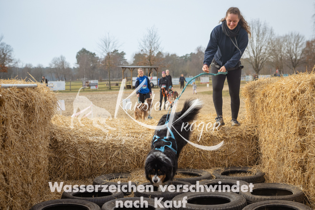 1042_ZZ98122 | kk-dogfotos