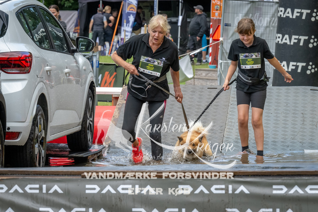 1445_ZZ92302-Bearbeitet | kk-dogfotos