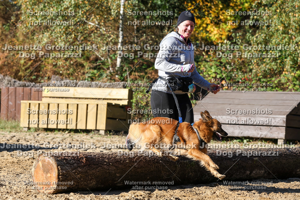 Dog Paparazzi - Strongdog 10-25-2282 | Dog Paparazzi Jeanette Grottendiek Fotografie & Videografie - Realisiert mit Pictrs.com