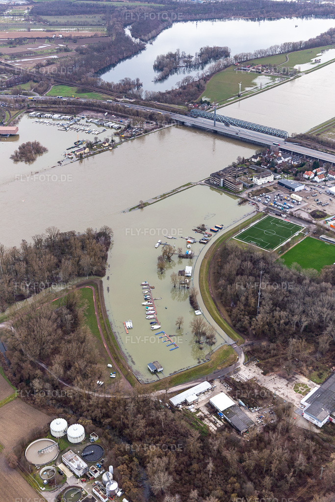 Luftbild: Hafen Maximiliansau bei Hochwasser im Ortsteil Maximiliansau in Wörth im Bundesland Rheinland-Pfalz in Deutschland. Foto: IMG_124249.jpg vom 04.02.2021 durch Werner Riehm/FLY-FOTO.de