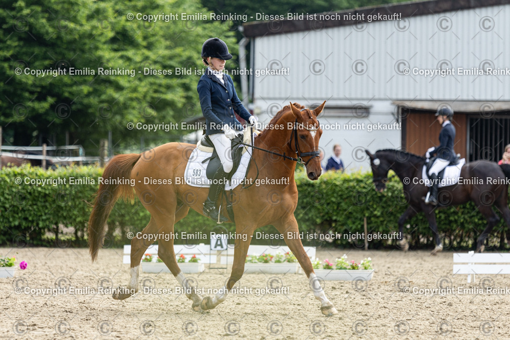 CL5A4988 | Emilia Reinking Fotografie - Realisiert mit Pictrs.com