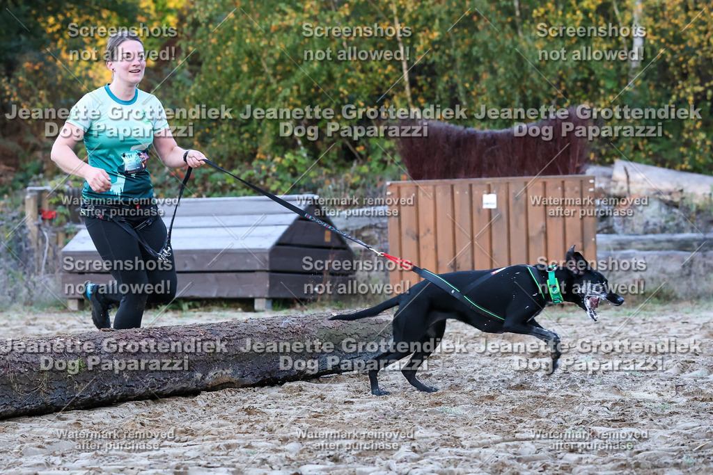 Dog Paparazzi - Strongdog 10-25-131 | Dog Paparazzi Jeanette Grottendiek Fotografie & Videografie - Realisiert mit Pictrs.com