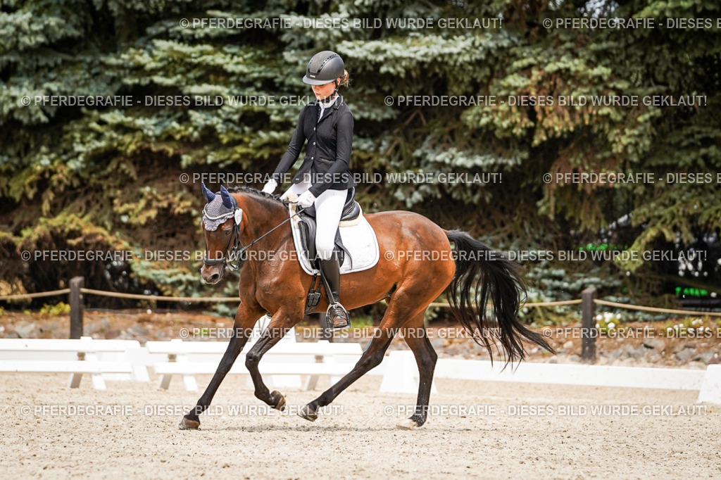 DSC04137 | Pferdegrafie