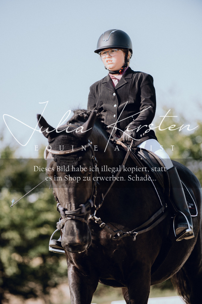 DSC_7004 | Pferde- und Turnierfotografie in Westsachsen. Pferdeportraits, Auftragszeichnungen und intuitive Kunst.