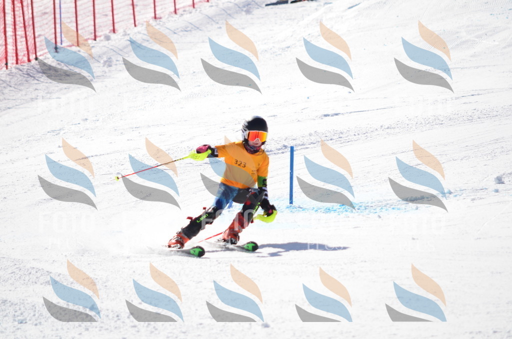 C9591 | holidayphoto