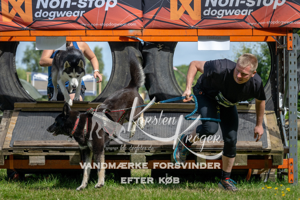 1129_ZZ92268 | kk-dogfotos